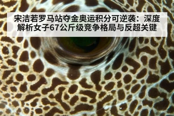宋洁若罗马站夺金奥运积分可逆袭:深度解析女子67公斤级竞争格局与反超关键